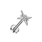 Starburst Glow Titanium Flatback Stud