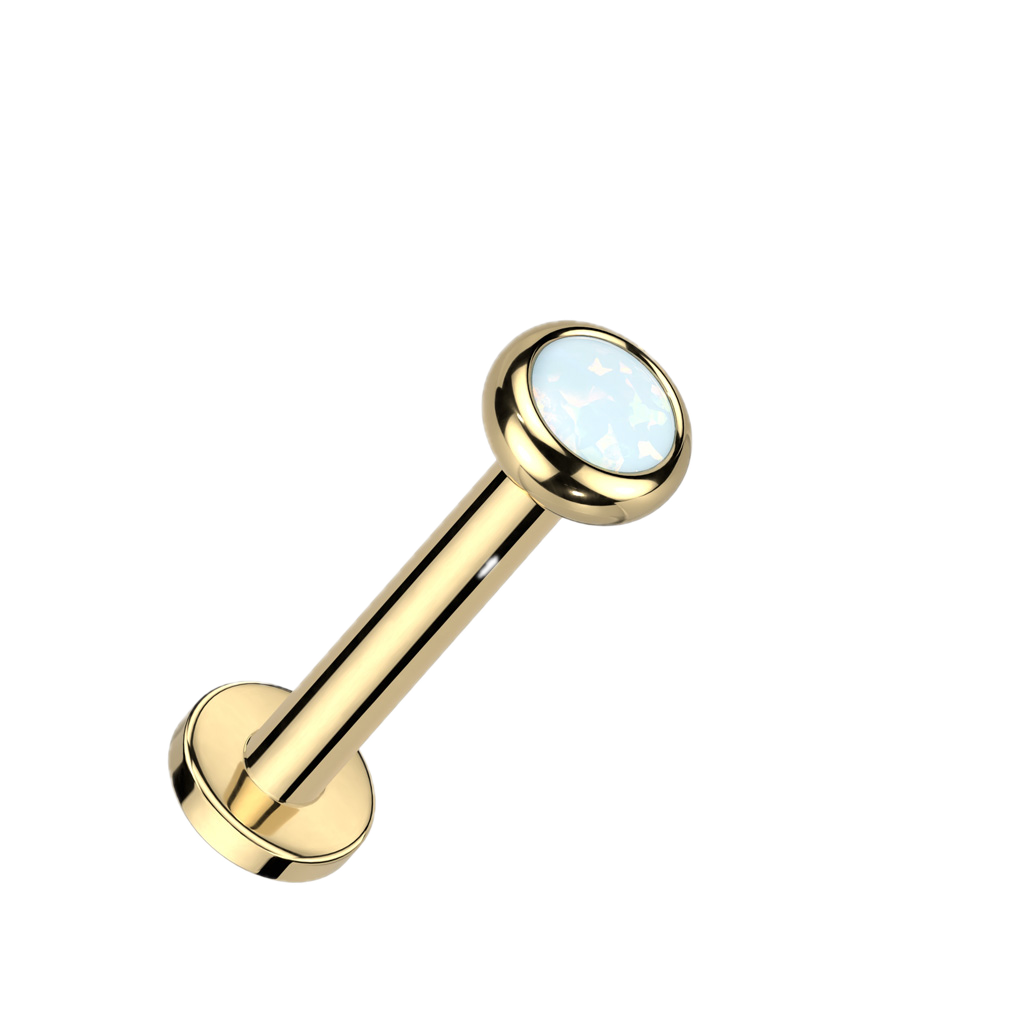 Gem Circle Titanium Flatback Stud