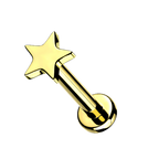 Twinkle Star Titanium Flatback Stud