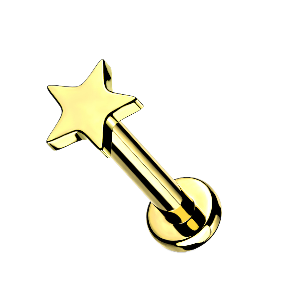 Twinkle Star Titanium Flatback Stud
