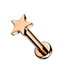 Twinkle Star Titanium Flatback Stud