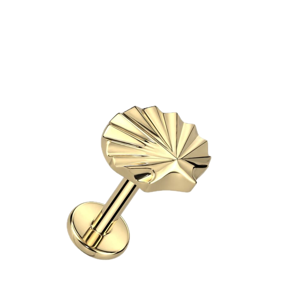 Seashell Titanium Flatback Stud