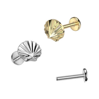 Seashell Titanium Flatback Stud