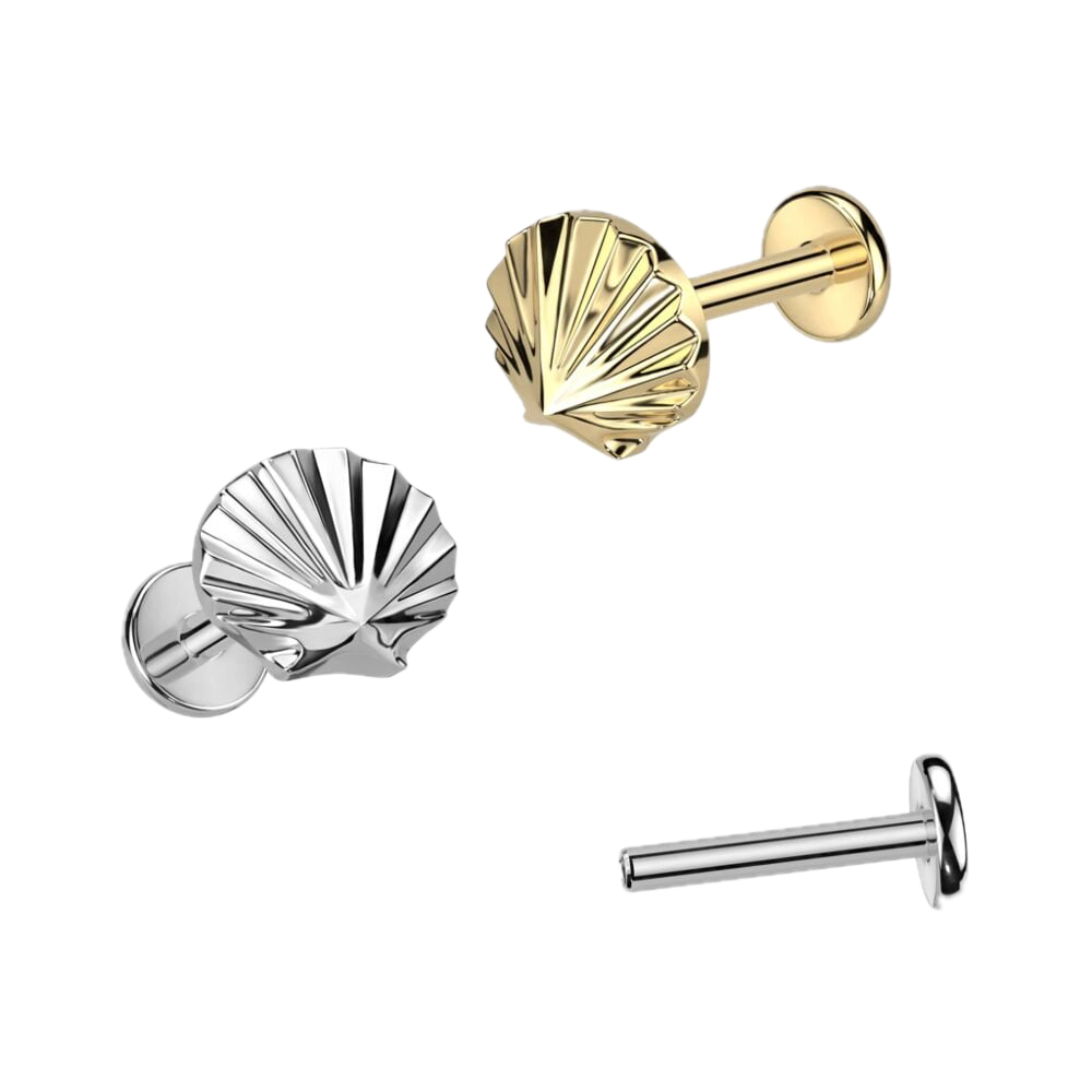 Seashell Titanium Flatback Stud